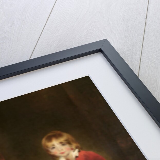 The Children of John Angerstein by Thomas Lawrence