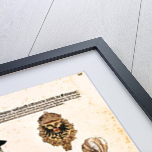 Equestrian portrait of Charles V in armour by Hans Liefrinck