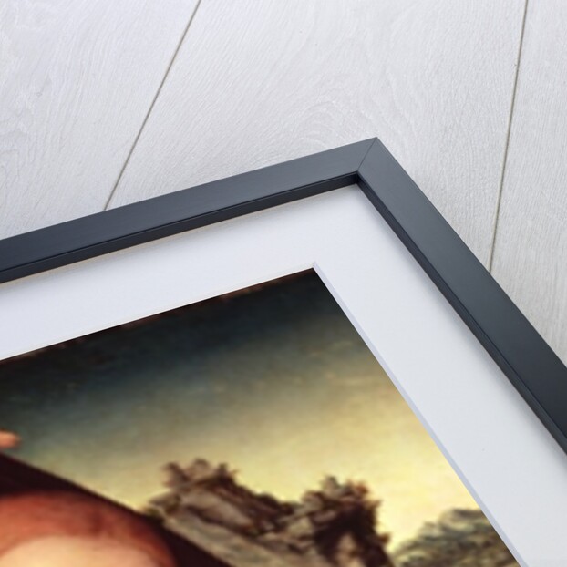 Madonna and Child by Lucas the Elder Cranach