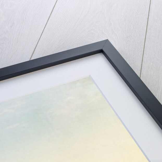 View of Geneva from the Confluence of the Rhone and the Arve by Jean Dubois (after)