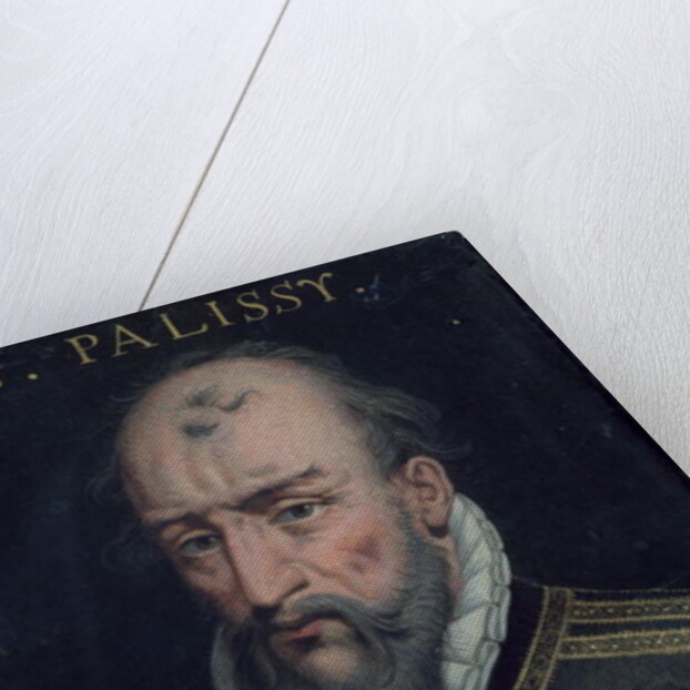 Bernard Palissy by French School