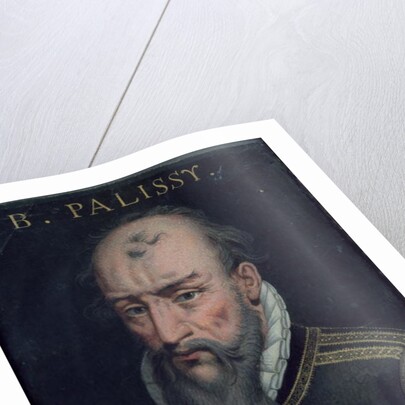 Bernard Palissy by French School