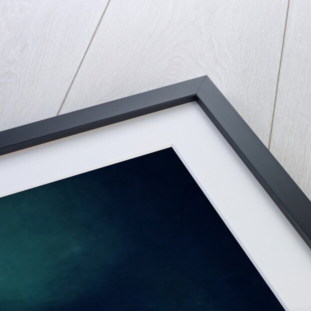 A Park at Night, c.1892-95 by Jozsef Rippl-Ronai