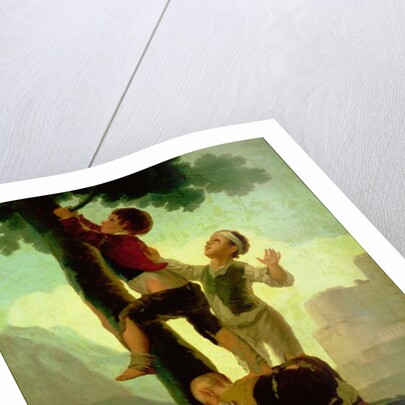 Boys Climbing a Tree, cartoon for a tapestry, 1790-92 by Francisco Jose de Goya y Lucientes