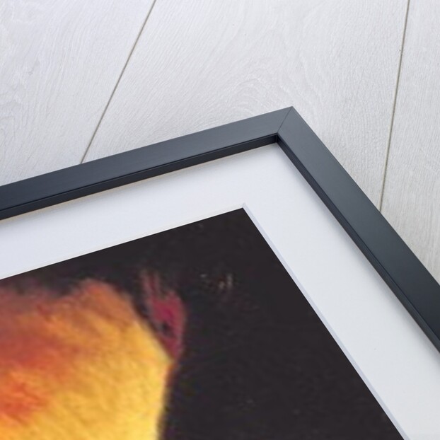 The Pyre, c.1800-05 by Francisco Jose de Goya y Lucientes