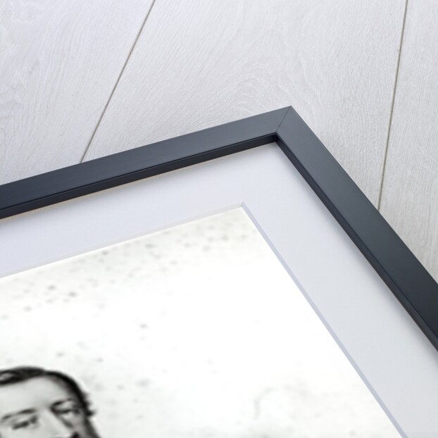 Charles Louis Napoleon Bonaparte Taking the Oath on the Constitution of 1848 by French School