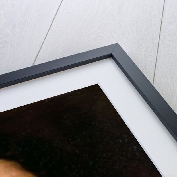 Self Portrait, 1815 by Francisco Jose de Goya y Lucientes