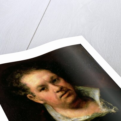 Self Portrait, 1815 by Francisco Jose de Goya y Lucientes