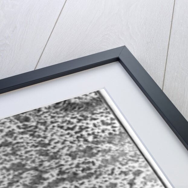 Lutetia or the first plan of Paris, taken from Caesar, Strabo, Emperor Julian and Ammianus Marcellinus by French School