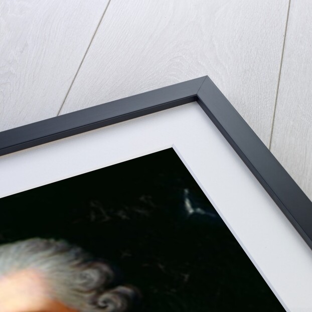 Louis XVI by Robert Lefevre