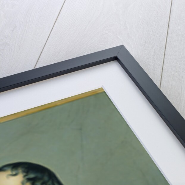 Francois Guizot after a painting by Paul Delaroche c.1878 by Jean or Jehan Georges Vibert