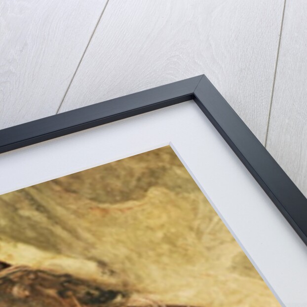 A Princess and her Servant by School Indian