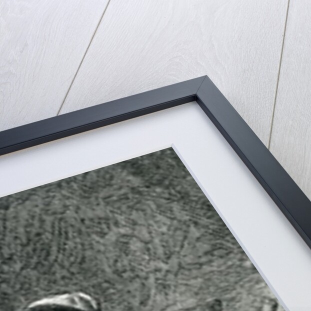 Cosette Carrying a Bucket by Gustave Brion