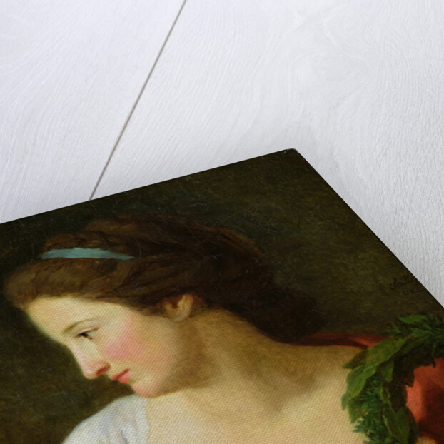 Portrait of a Young Lady by Jean Joseph Taillasson