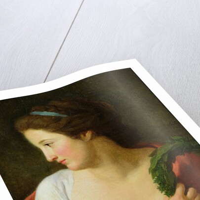 Portrait of a Young Lady by Jean Joseph Taillasson