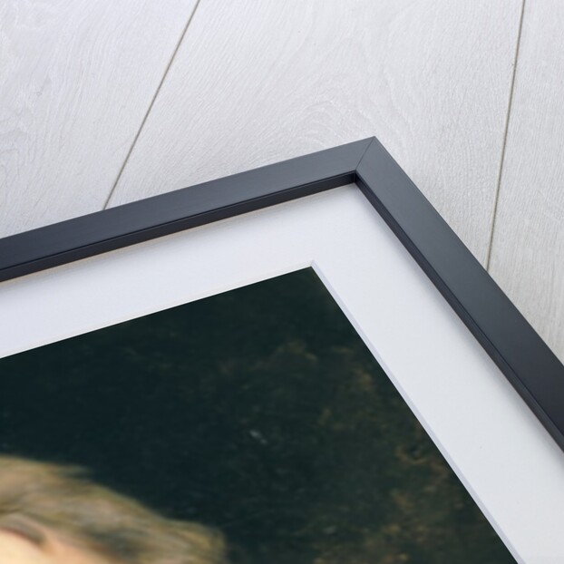 Portrait of Nelson by George Peter Alexander Healy