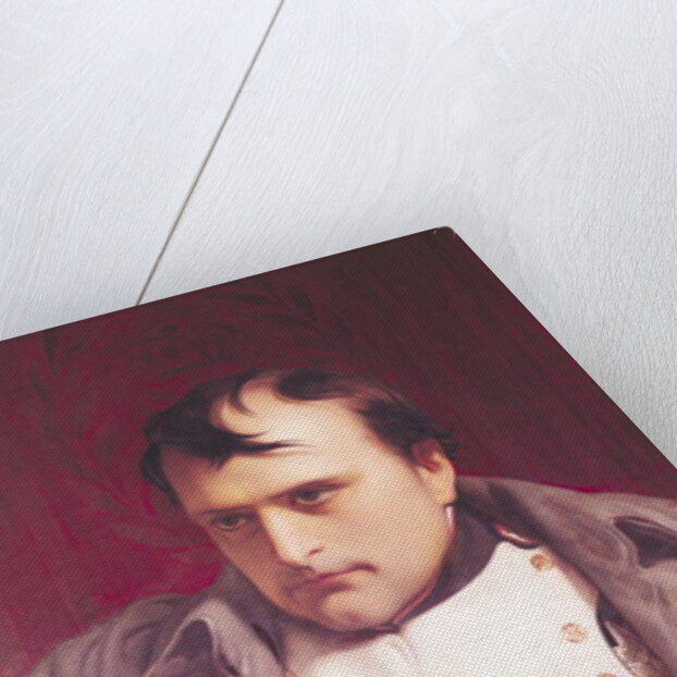Napoleon after his Abdication by Hippolyte Delaroche