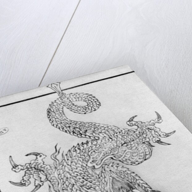 Dragon by School Japanese