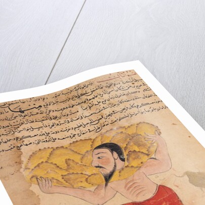 Ms E-7 fol.212a Giant Carrying Mountains by Islamic School