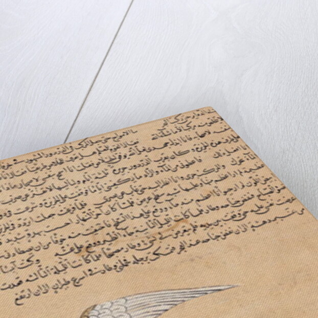 Merchant from Isfahan Flying by Islamic School