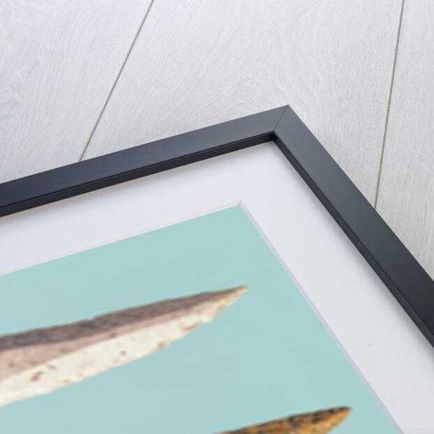 Four Flint Tools, Upper Paleolithic Period, 35000-10000 BC by Prehistoric Prehistoric