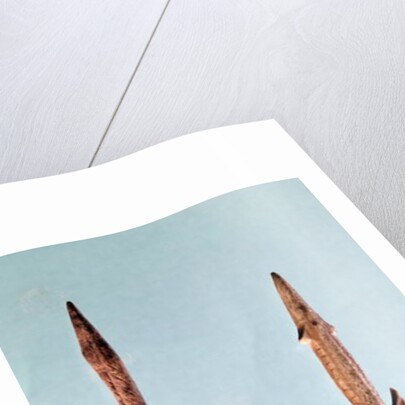 Two Harpoons, Upper Paleolithic Period, 35000-10000 BC by Prehistoric Prehistoric