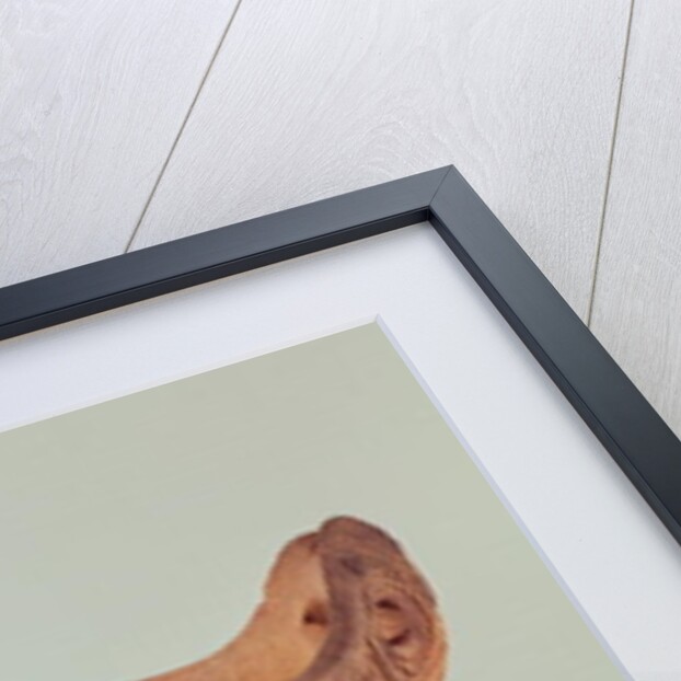 Jomon vase from the Kanto province by School Japanese