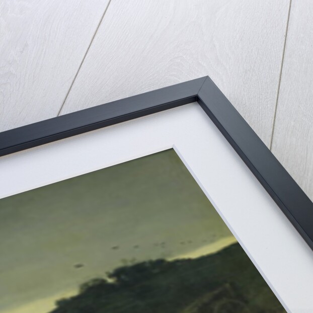 Peasants Harvesting Potatoes During the Flood of the Rhine in 1852 by Gustave Brion