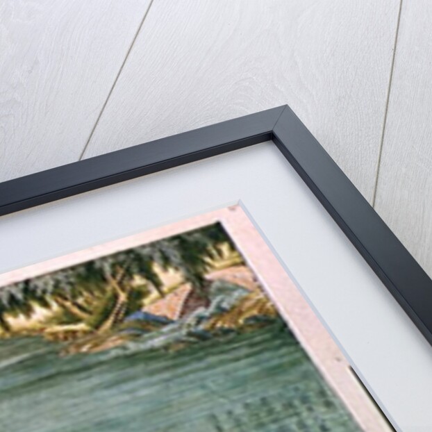 Ms 202 f.6 Sorting the Cocoons by School Chinese