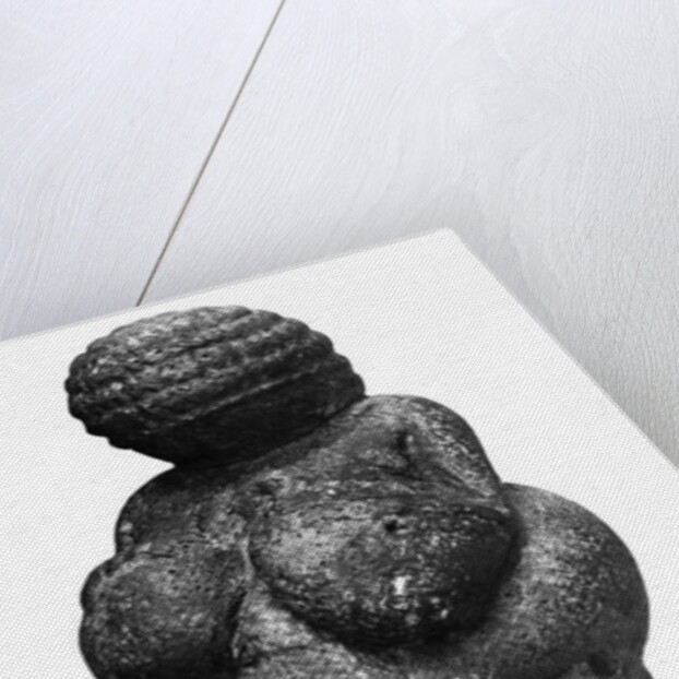 The Venus of Willendorf, side view of female figurine, Gravettian culture, Upper Paleolithic Period, c.30000-18000 BC by Prehistoric Prehistoric