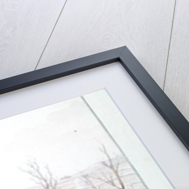 Battle of Austerlitz, 2nd December 1805 by French School