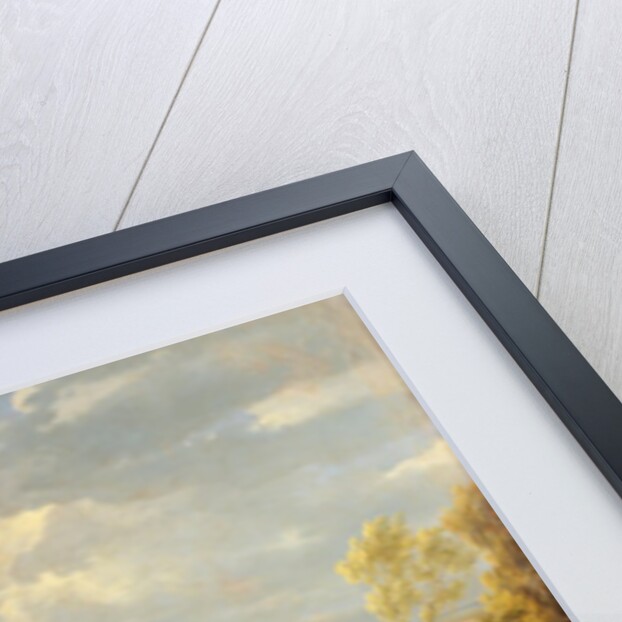The Entry of Louis XIV and Marie-Therese of Austria in to Arras, 30th July 1667, c.1685 by Adam Frans van der Meulen