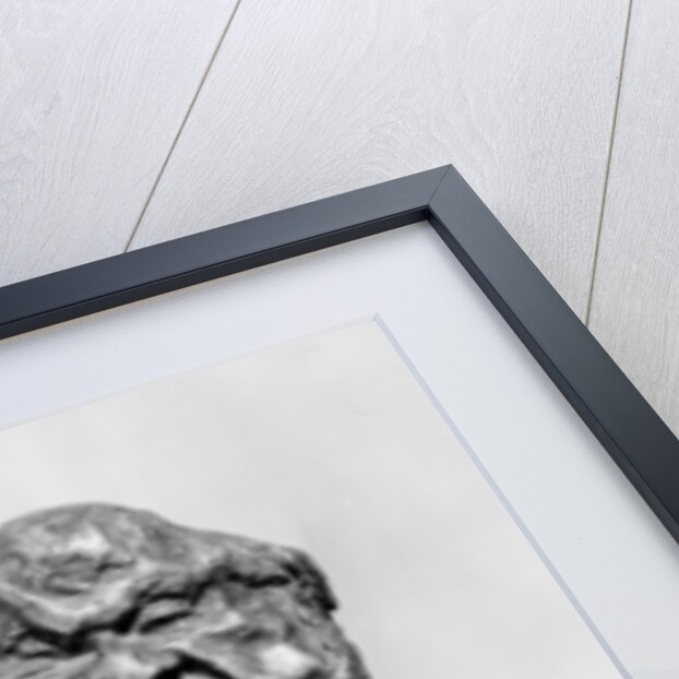 Bust of Hippolyte Abraham, known as Abraham-Dubois 1833 by Honore Daumier