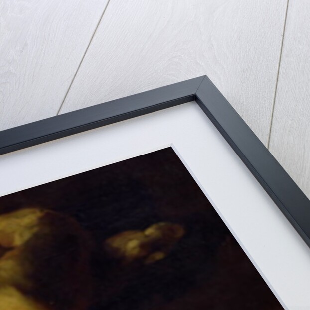 Anatomical Pieces by Theodore Gericault