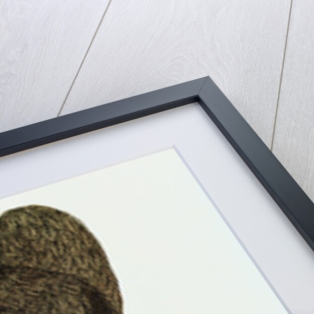 Caricature of Napoleon Bonaparte by English School