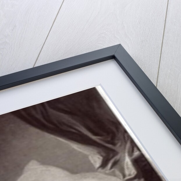 La Gimblette or Young Girl Making her Dog Dance on her Bed by Jean-Honore Fragonard