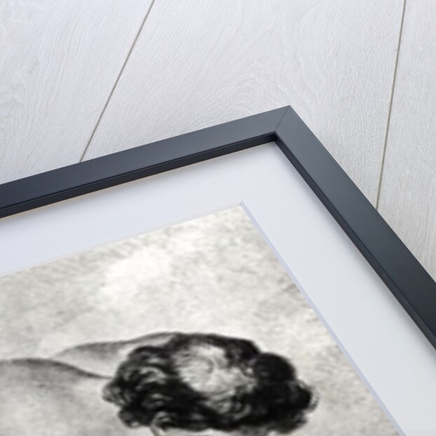 Illustration from 'Les Contes' by Francois Marie Arouet de Voltaire by Charles Monnet