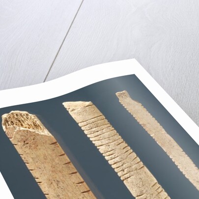 Three decorated bones by Prehistoric Prehistoric