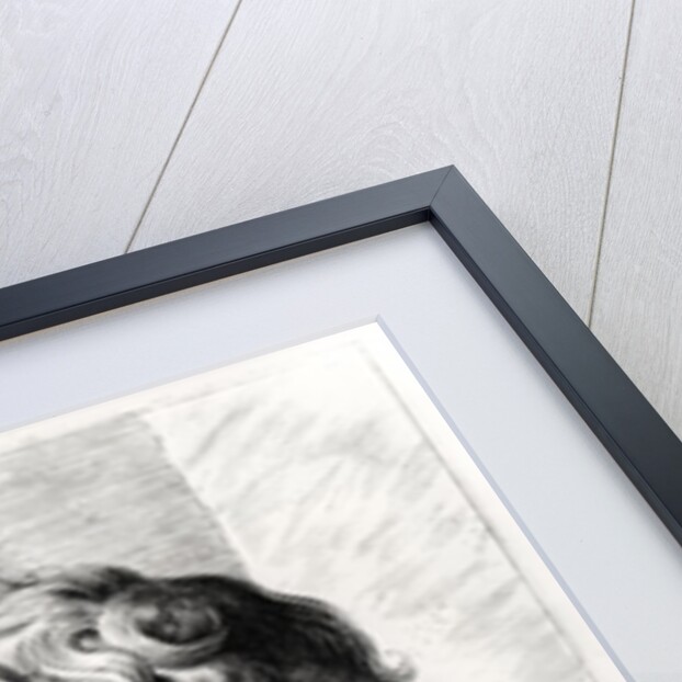 Bust of Plato engraved by Lucas Emil Vorsterman by Peter Paul Rubens