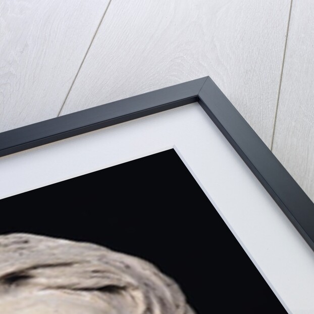 Bust of Victor Hugo aged 35, 1837 by Pierre Jean David d'Angers