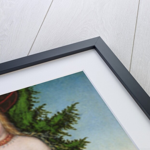 Venus in a landscape, 1529 by Lucas the Elder Cranach