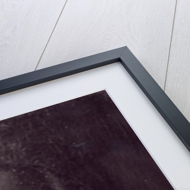 Portrait of Louis XI 1482 by French School