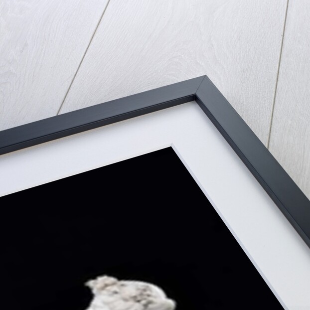 Anacreon, 1851 by Eugene Guillaume