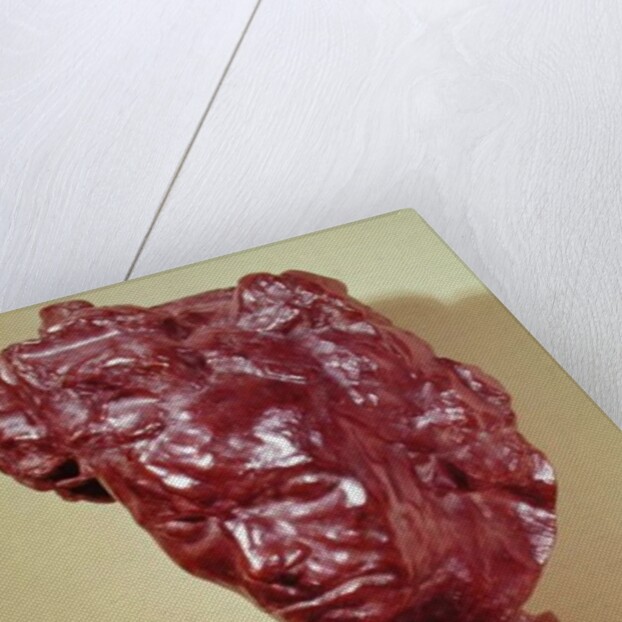 Portrait Bust of Ludwig van Beethoven 1901 by Emile-Antoine Bourdelle