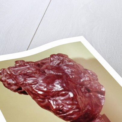 Portrait Bust of Ludwig van Beethoven 1901 by Emile-Antoine Bourdelle