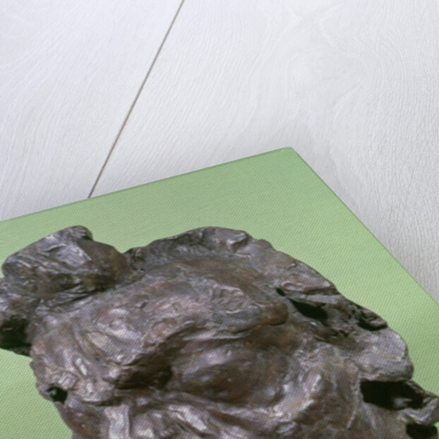 Tragic Mask of Ludwig van Beethoven 1901 by Emile-Antoine Bourdelle