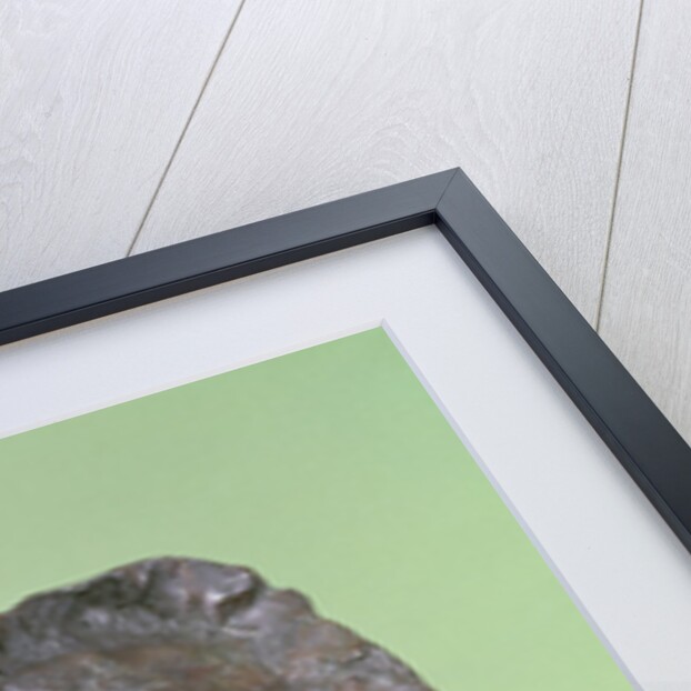 Tragic Mask of Ludwig van Beethoven 1901 by Emile-Antoine Bourdelle