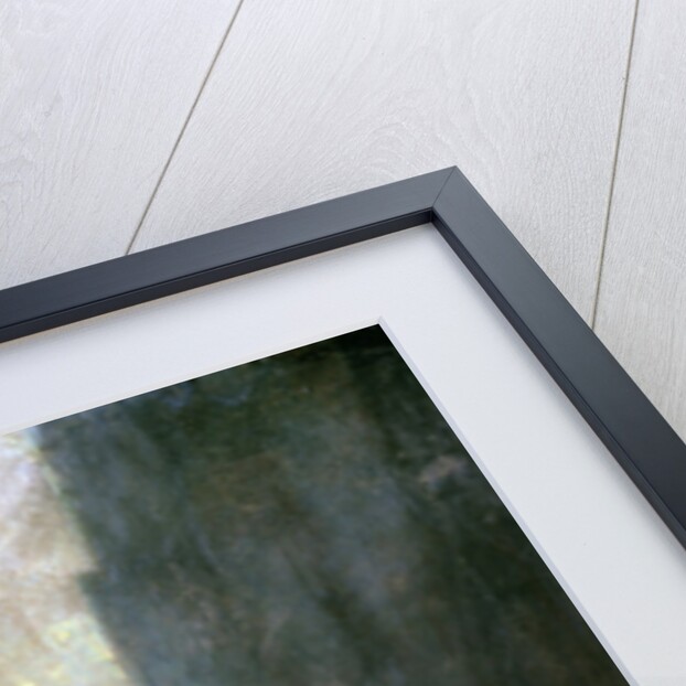 The Abyss, 1899 by Alphonse Marie Mucha