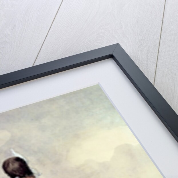 Anne Savary, Duke of Rovigo, Reviewing the Gendarmerie Troops in 1801, 1932 by Bucquoy Bucquoy