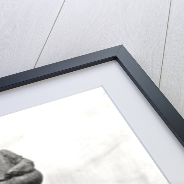 The Sower, maquette for a monument dedicated to the workers in the fields, 1889-1900 by Aime Jules Dalou